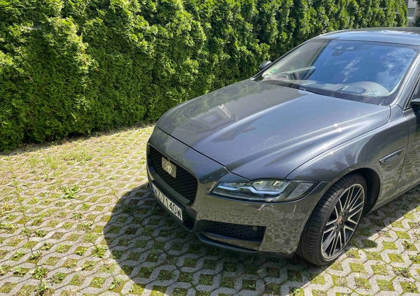 Jaguar XF cena 172200 przebieg: 90432, rok produkcji 2018 z Kleszczele małe 56